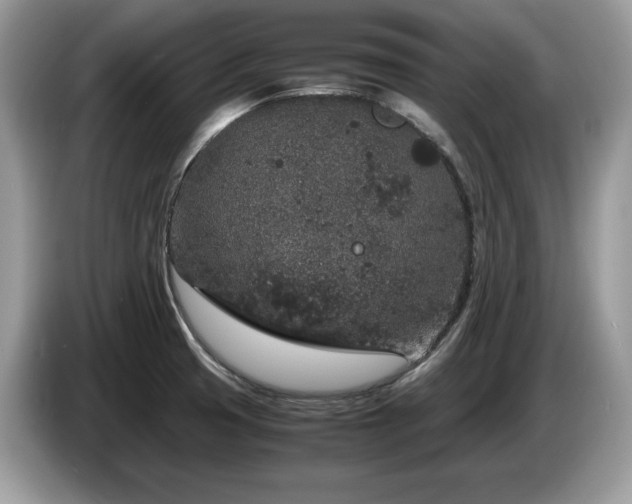 X0000087561425200704271218