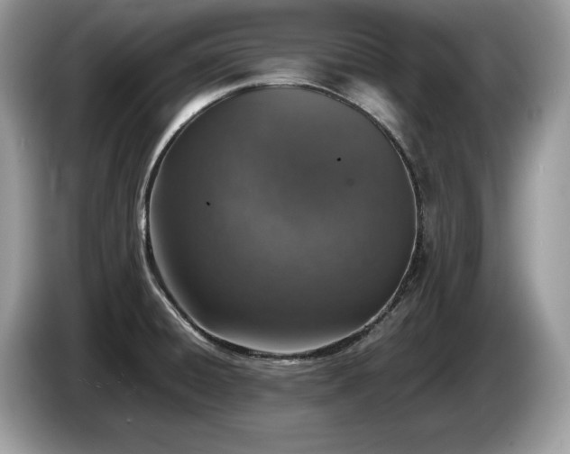X0000087561428200704271218