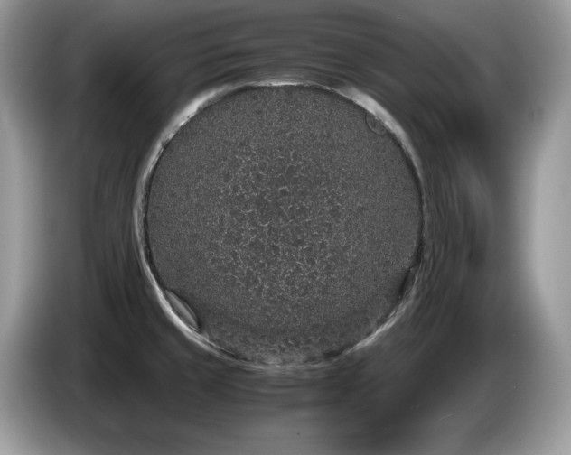 X0000087561429200704271218