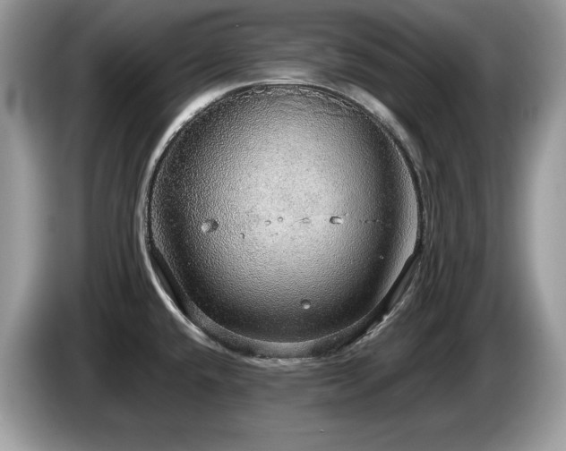 X0000087561432200704271218