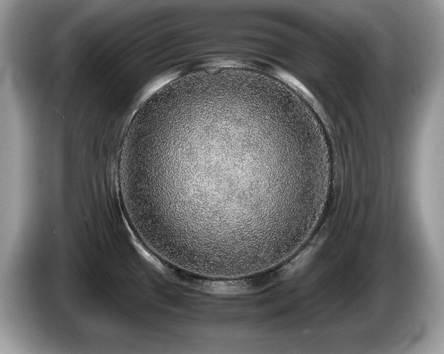 X0000087561433200704271218