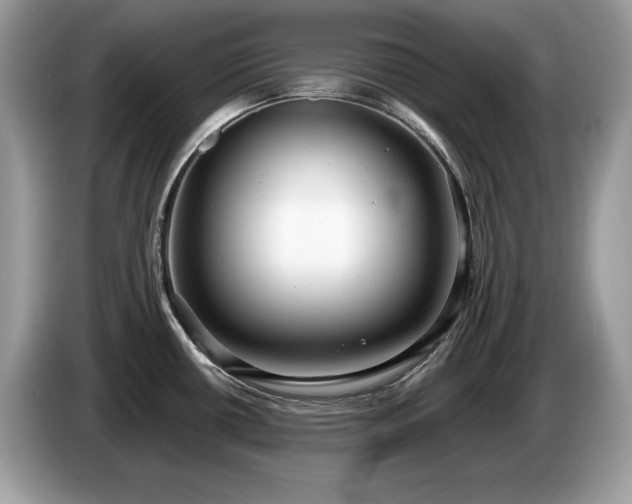 X0000087561434200704271218