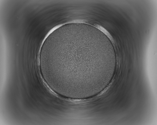 X0000087561436200704271218