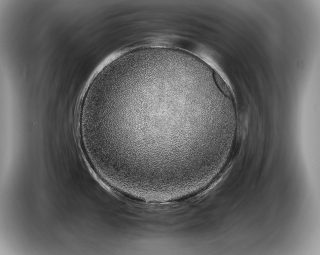 X0000087561437200704271218