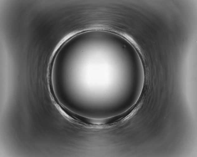 X0000087561438200704271218
