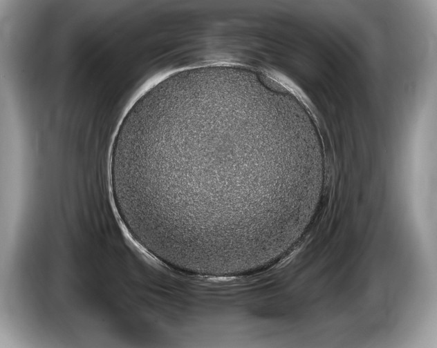 X0000087561439200704271218