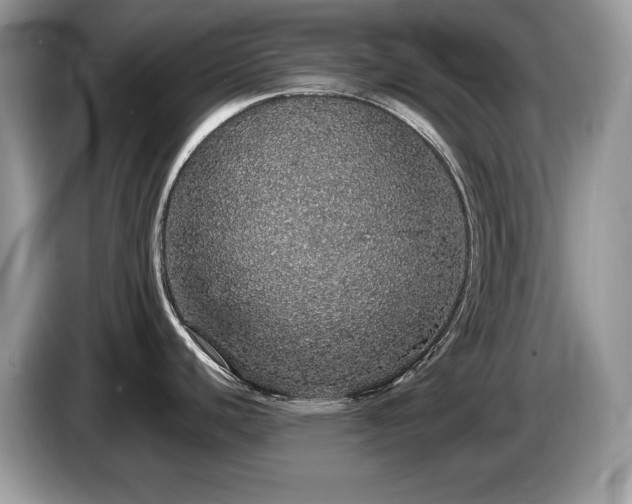 X0000087561440200704271218