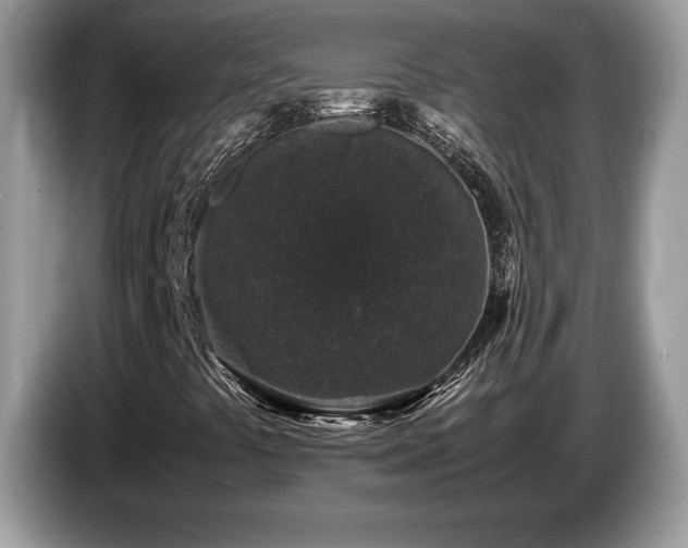 X0000087561441200704271218