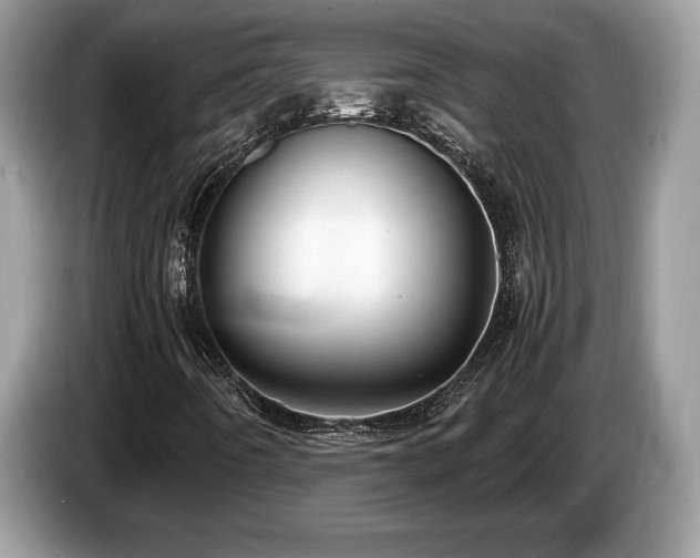 X0000087561442200704271218