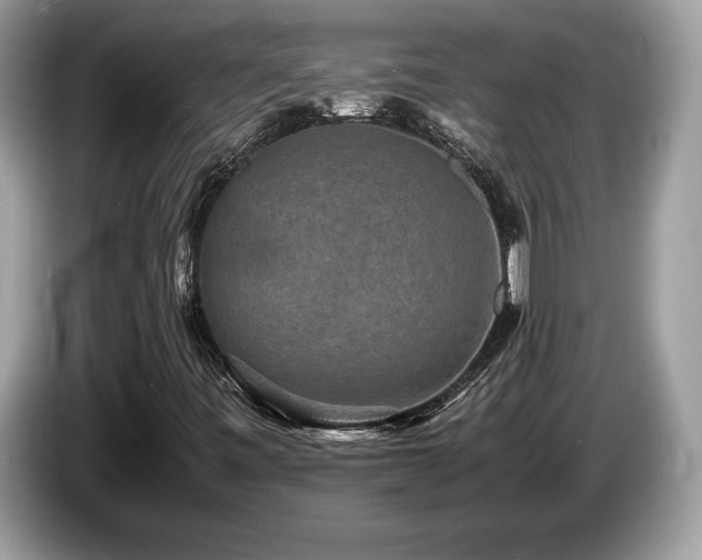 X0000087561443200704271218
