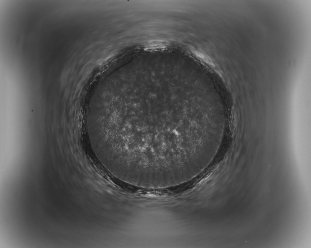 X0000087561445200704271218