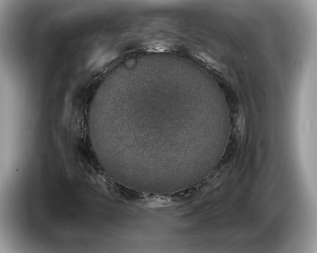 X0000087561446200704271218