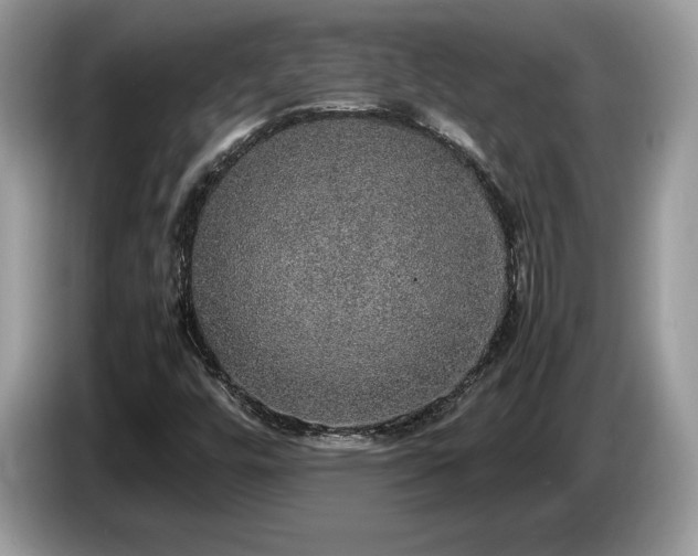 X0000087561448200704271217