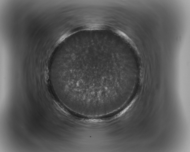 X0000087561449200704271217