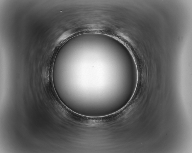 X0000087561451200704271217
