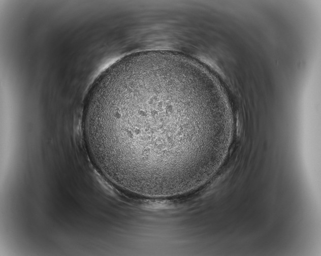 X0000087561452200704271217