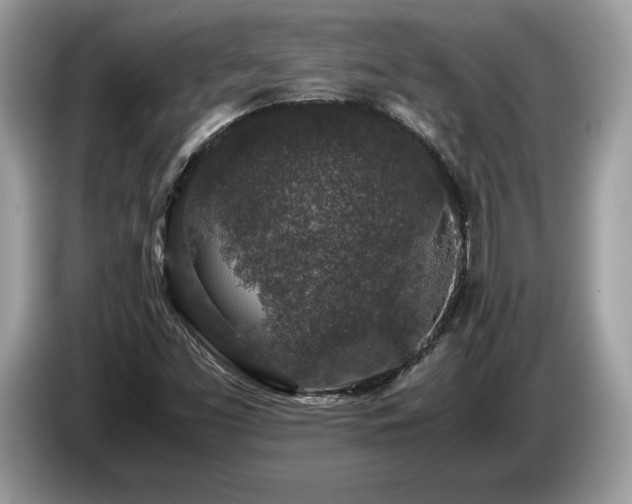 X0000087561453200704271217