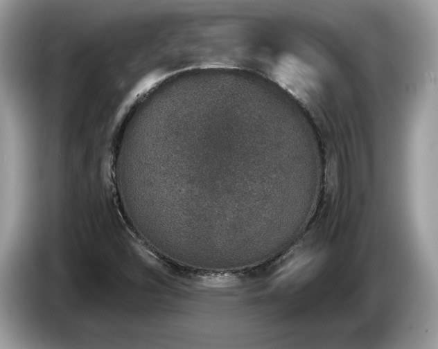 X0000087561454200704271217