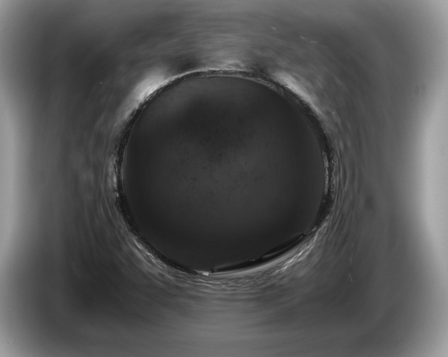 X0000087561455200704271217