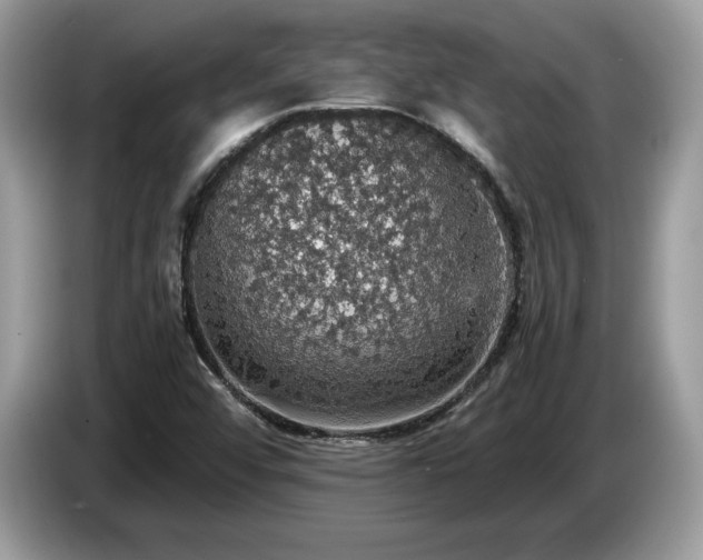 X0000087561456200704271217