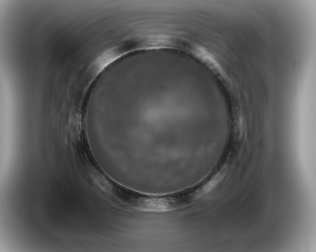 X0000087561457200704271217