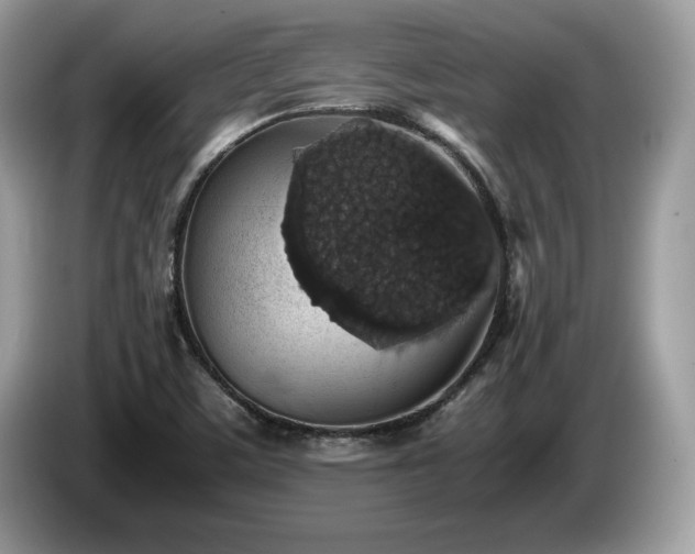 X0000087561459200704271217