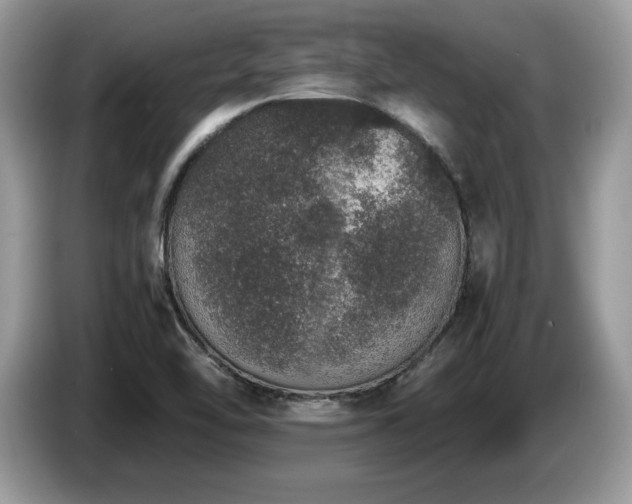 X0000087561462200704271217