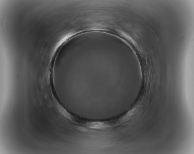 X0000087561463200704271217
