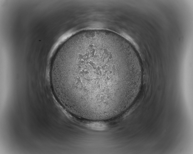 X0000087561464200704271217