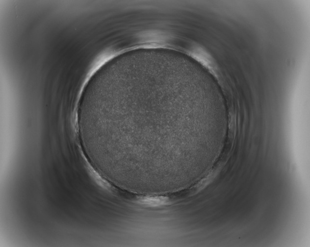 X0000087561466200704271217