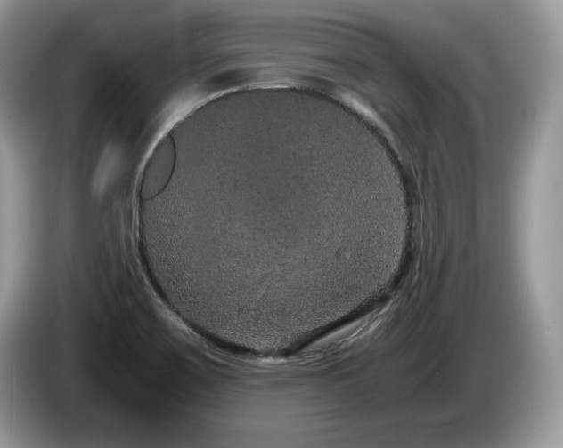 X0000087561467200704271217