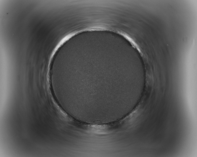 X0000087561469200704271217