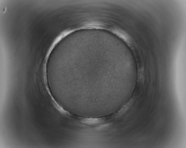 X0000087561470200704271217