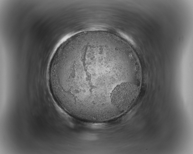 X0000087561471200704271217
