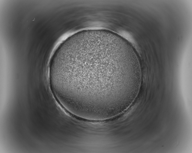 X0000087561472200704271217