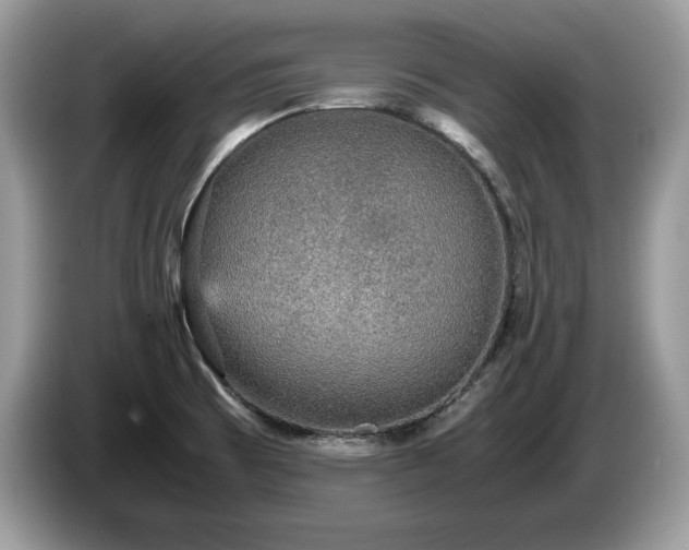 X0000087561473200704271217