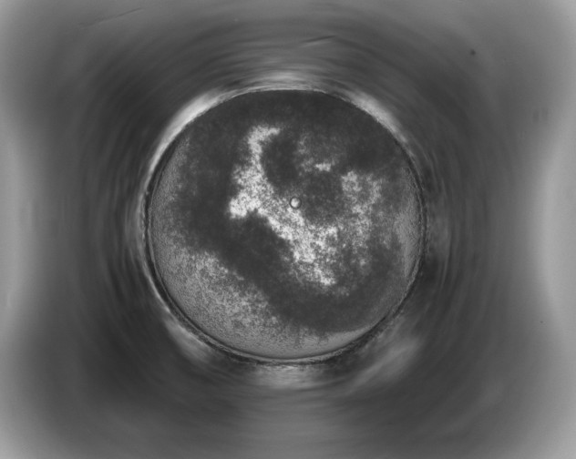 X0000087561474200704271217