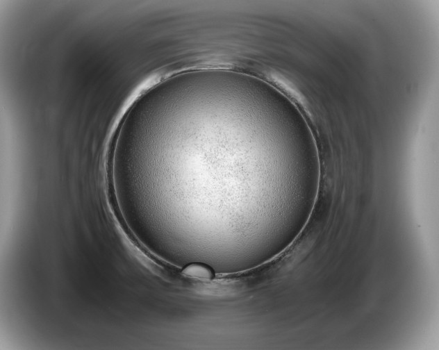 X0000087561475200704271217