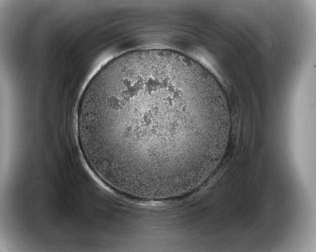 X0000087561476200704271217