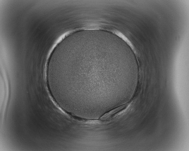 X0000087561477200704271217