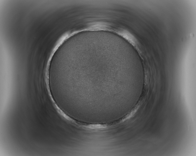 X0000087561478200704271217