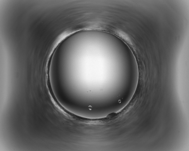 X0000087561479200704271217