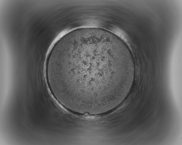X0000087561480200704271217
