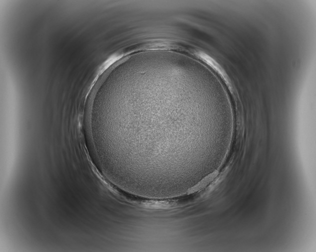 X0000087561481200704271217