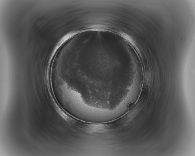 X0000087561482200704271217