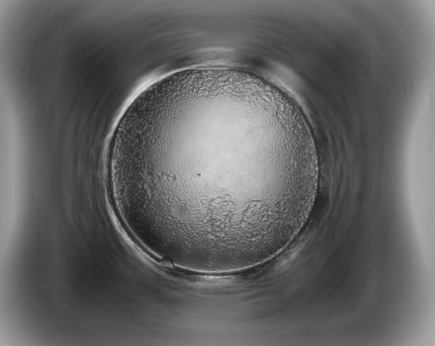 X0000087561483200704271217