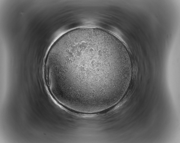 X0000087561484200704271217