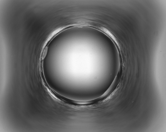 X0000087561485200704271217