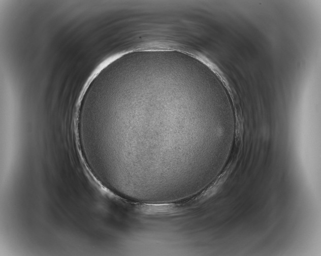 X0000087561486200704271217