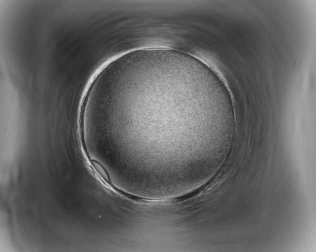 X0000087561488200704271217
